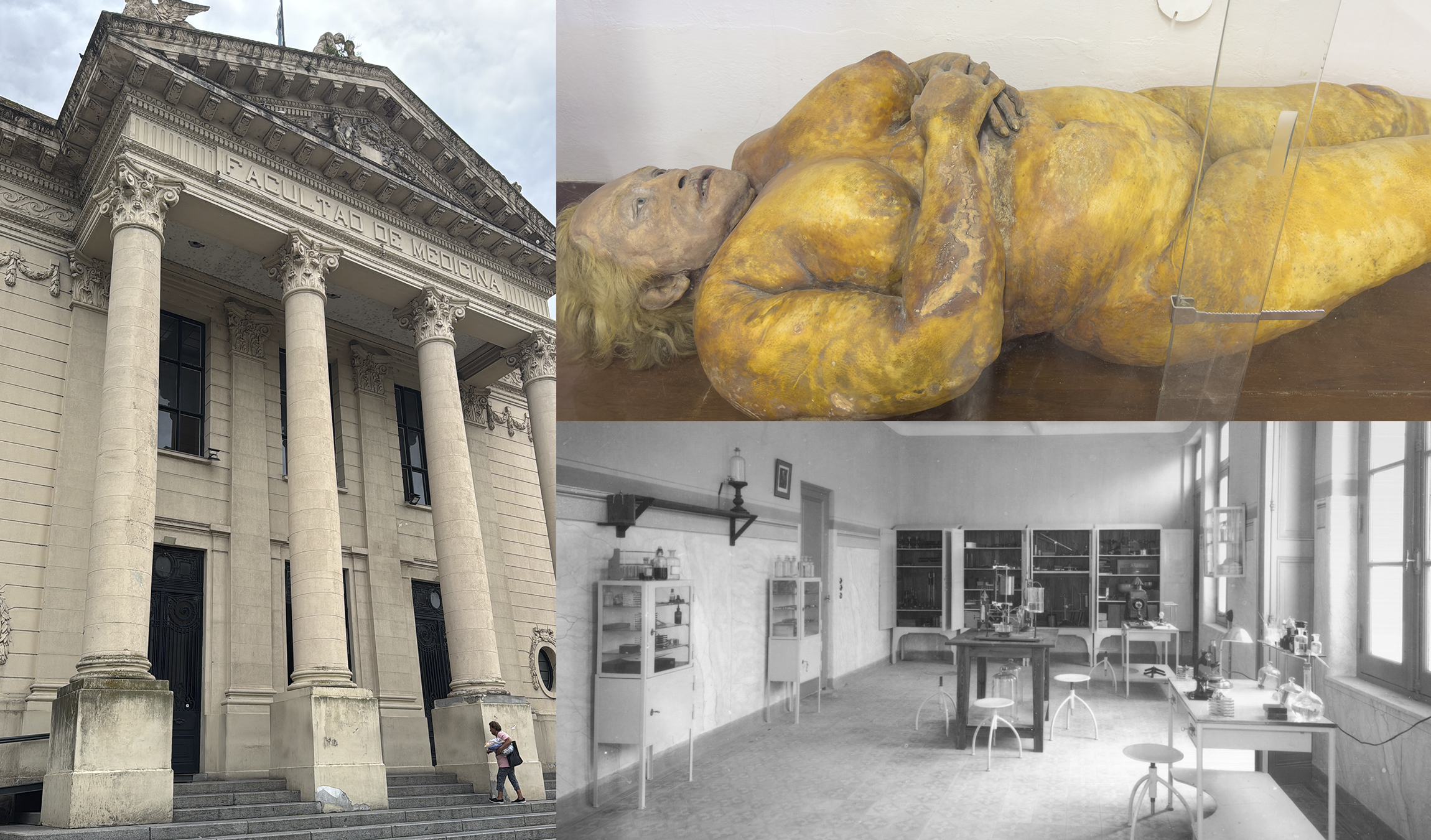 Carmelita: la historia de la momia que acompaña a la Facultad de Medicina